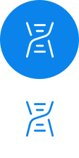 設(shè)計(jì)、樣線(xiàn)開(kāi)發(fā) 定型及試驗(yàn)